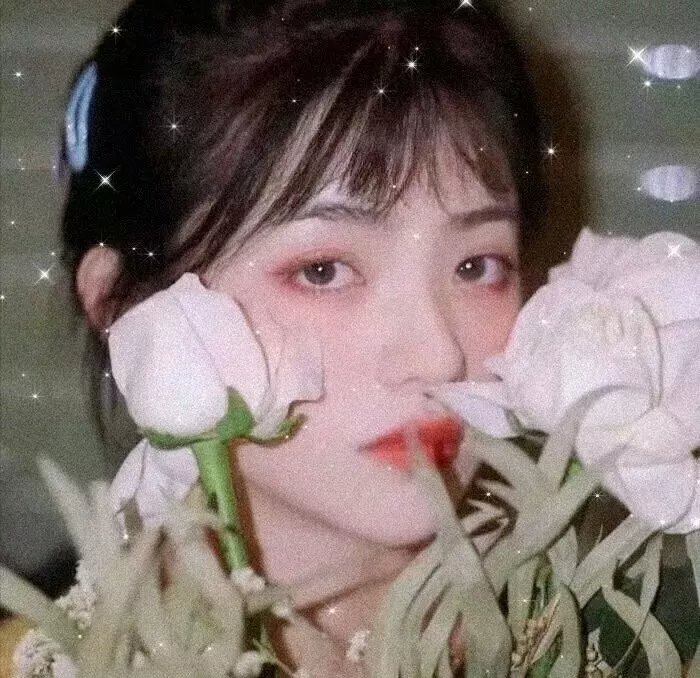 铁血战狼